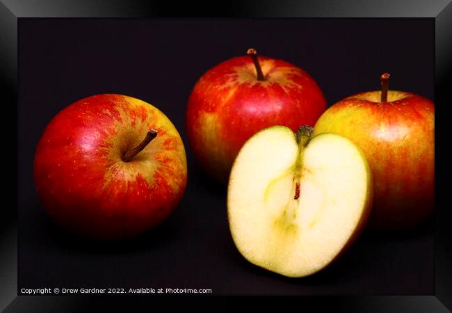 Apples Framed Print by Drew Gardner