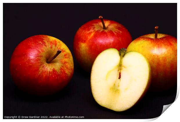 Apples Print by Drew Gardner