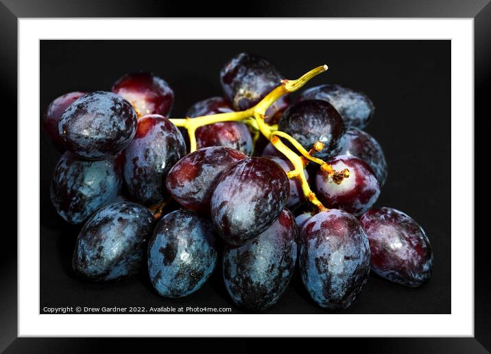 Grapes Framed Mounted Print by Drew Gardner