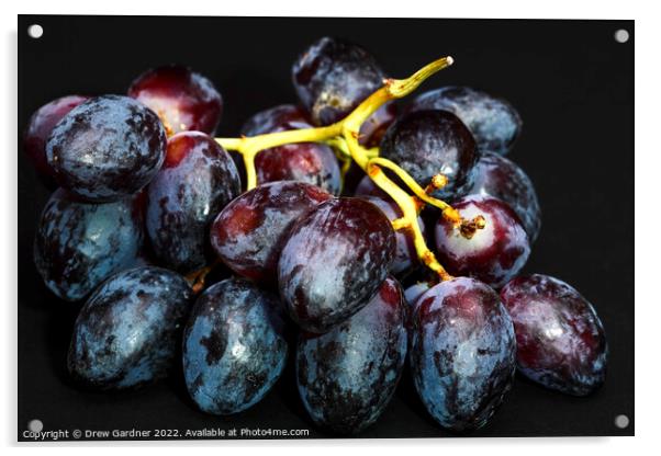 Grapes Acrylic by Drew Gardner