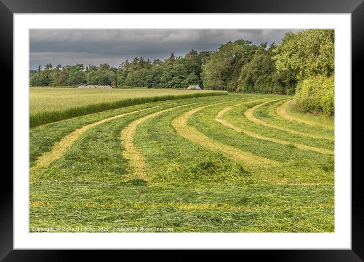 Freshly Cut Silage at Wycliffe (2) Framed Mounted Print by Richard Laidler