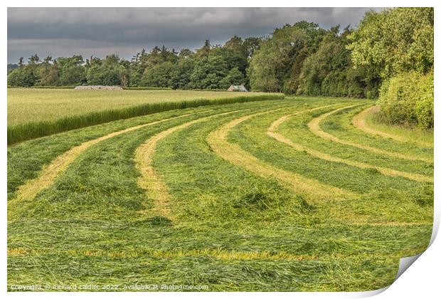 Freshly Cut Silage at Wycliffe (2) Print by Richard Laidler