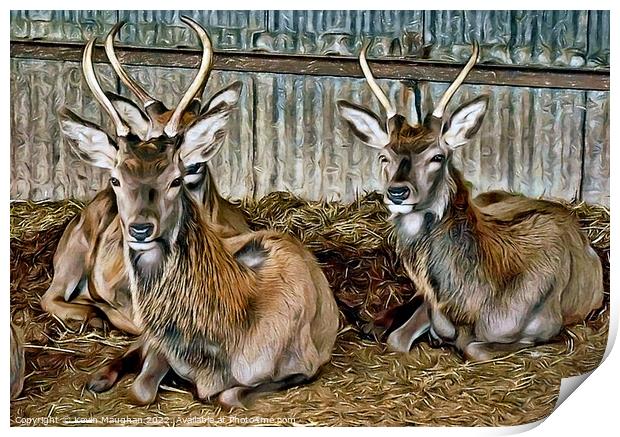 Deer Resting (Digital Art) Print by Kevin Maughan