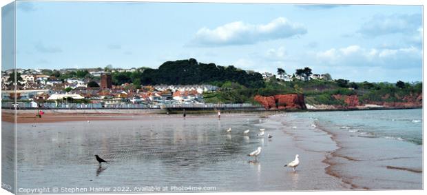 Preston Sands Canvas Print by Stephen Hamer