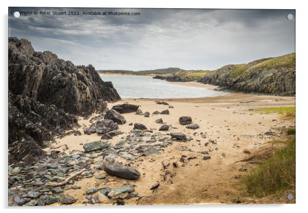 Newborough Warren is an extensive sand dune system and includes  Acrylic by Peter Stuart