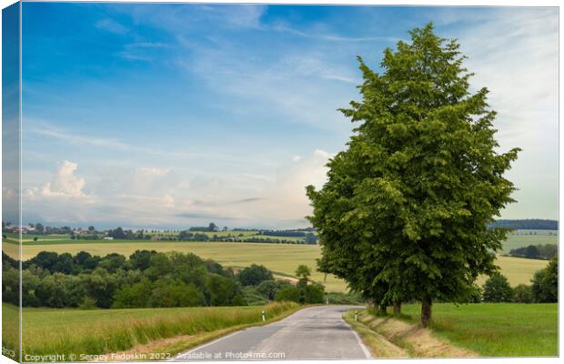 Rural road in a summer field. Summer landscape. Canvas Print by Sergey Fedoskin