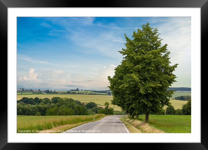 Rural road in a summer field. Summer landscape. Framed Mounted Print by Sergey Fedoskin