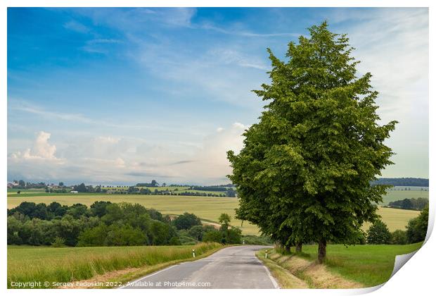 Rural road in a summer field. Summer landscape. Print by Sergey Fedoskin