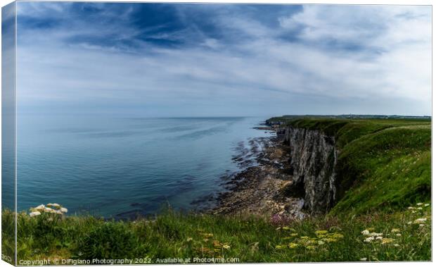 Bempton Cliffs Canvas Print by DiFigiano Photography