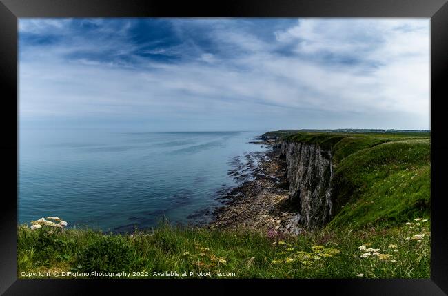 Bempton Cliffs Framed Print by DiFigiano Photography