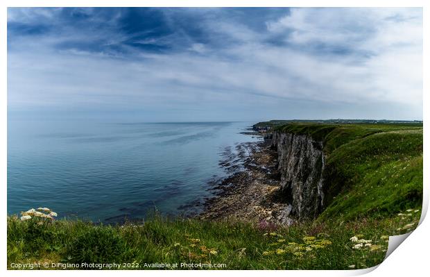 Bempton Cliffs Print by DiFigiano Photography