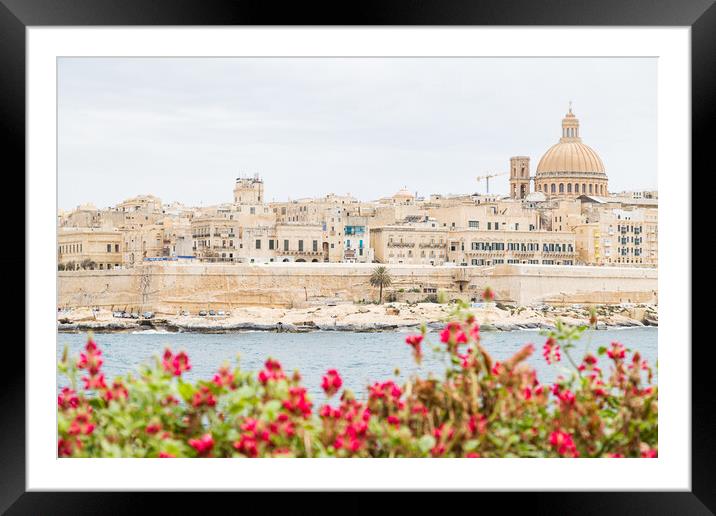 Pretty flowers in front of the Valletta skyline Framed Mounted Print by Jason Wells