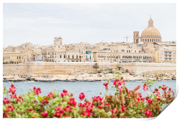 Pretty flowers in front of the Valletta skyline Print by Jason Wells