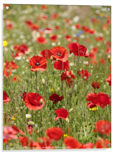 Poppy field Acrylic by Simon Johnson