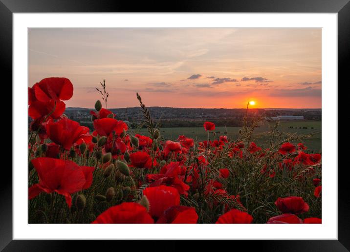 Poppy Flower Sunset Framed Mounted Print by J Biggadike