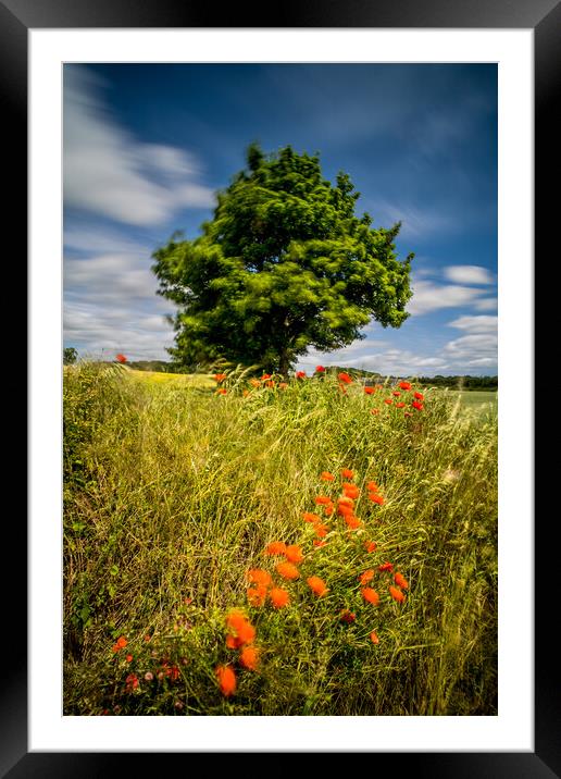 Summer Breeze Framed Mounted Print by Dave Hudspeth Landscape Photography