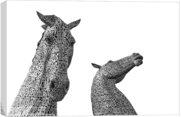 The Kelpies 2 Canvas Print by DiFigiano Photography
