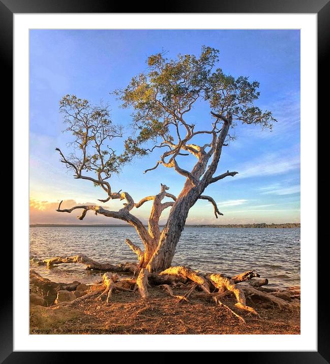 Lone Tree on a golden sunset at edge of Lake Framed Mounted Print by Julie Gresty
