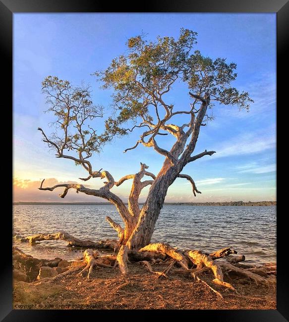 Lone Tree on a golden sunset at edge of Lake Framed Print by Julie Gresty