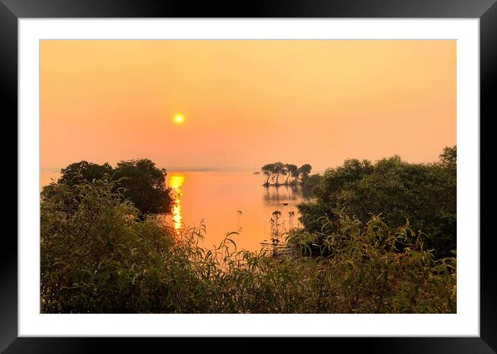 Golden Sunset over the Mangroves Framed Mounted Print by Julie Gresty
