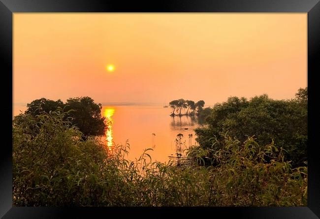 Golden Sunset over the Mangroves Framed Print by Julie Gresty