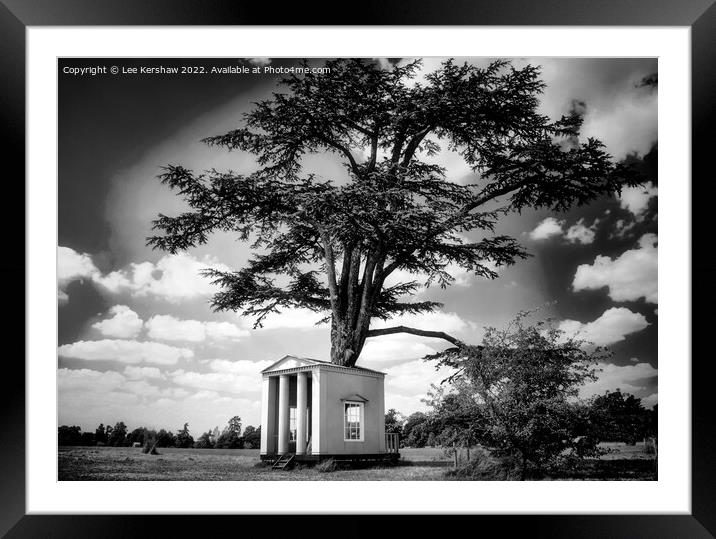 Plant tree Framed Mounted Print by Lee Kershaw