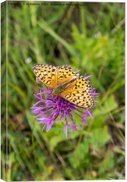 High Brown Fritillary Canvas Print by Jo Sowden