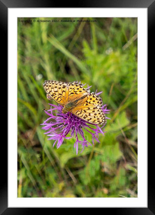 High Brown Fritillary Framed Mounted Print by Jo Sowden