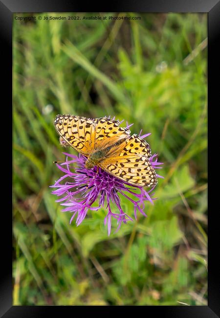 High Brown Fritillary Framed Print by Jo Sowden