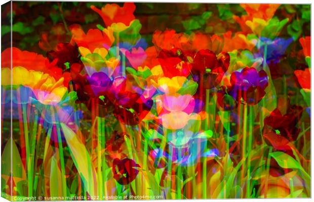 GLITCH ART on tulips Canvas Print by susanna mattioda