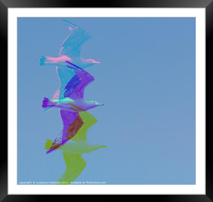 GLITCH ART on seagull Framed Mounted Print by susanna mattioda