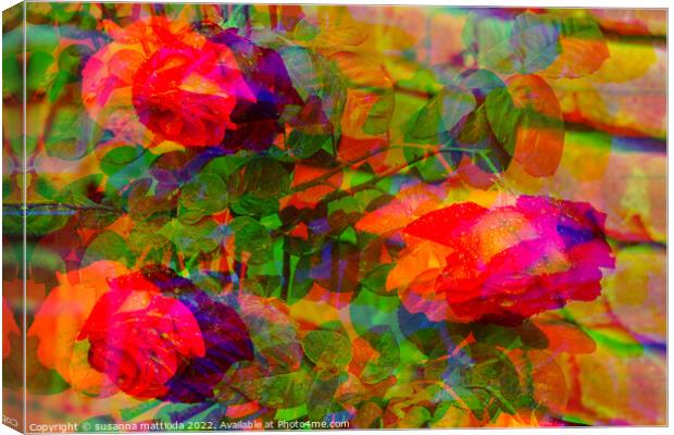GLITCH ART on tree roses Canvas Print by susanna mattioda