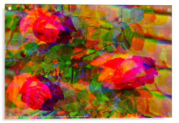 GLITCH ART on tree roses Acrylic by susanna mattioda