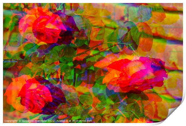 GLITCH ART on tree roses Print by susanna mattioda