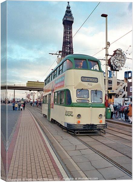 Blackpool tram 702 Canvas Print by Rodney Hutchinson