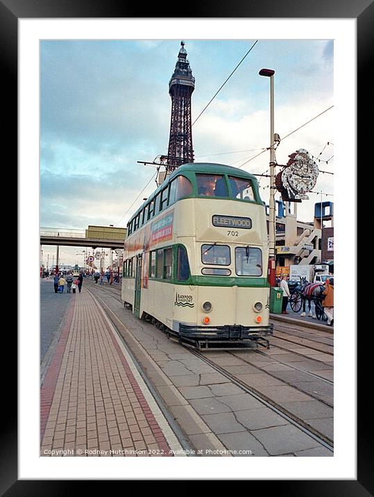 Blackpool tram 702 Framed Mounted Print by Rodney Hutchinson