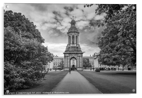 Trinity College, Dublin Acrylic by Delphimages Art