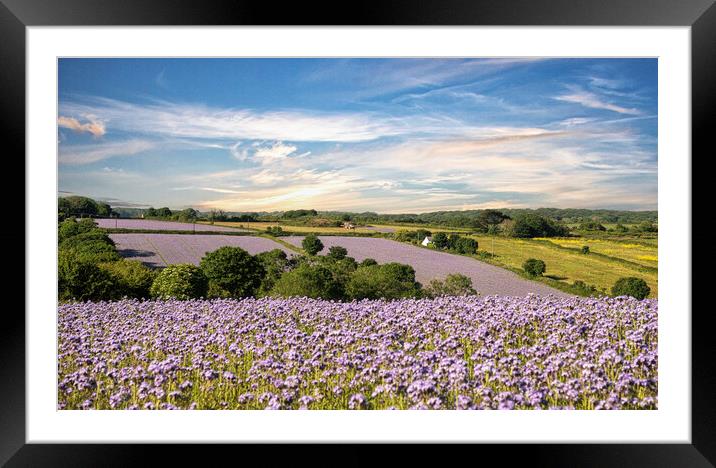 Wildflower Meadows, Cornwall Framed Mounted Print by kathy white