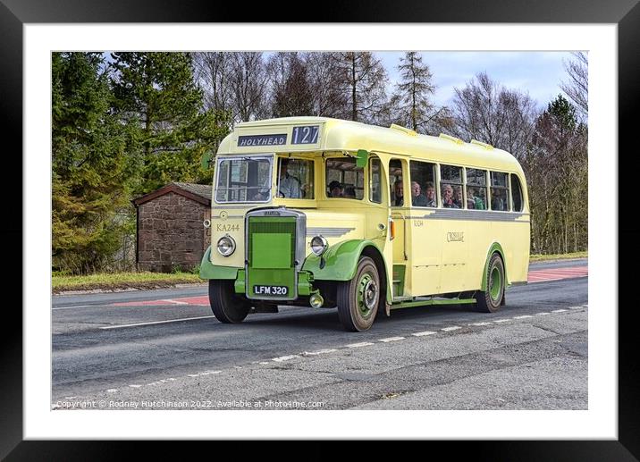 Leyland single decker bus Framed Mounted Print by Rodney Hutchinson