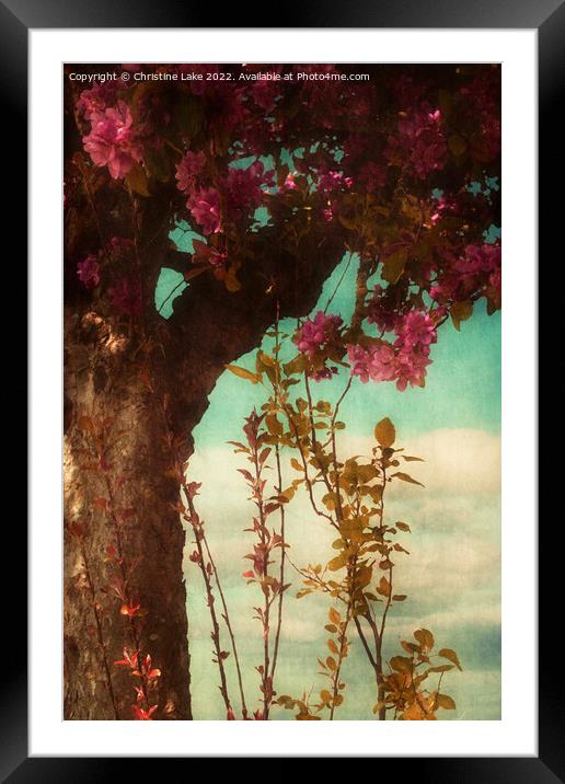 Evening Song Framed Mounted Print by Christine Lake