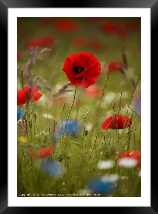 Poppy and meadow Flowers Framed Mounted Print by Simon Johnson