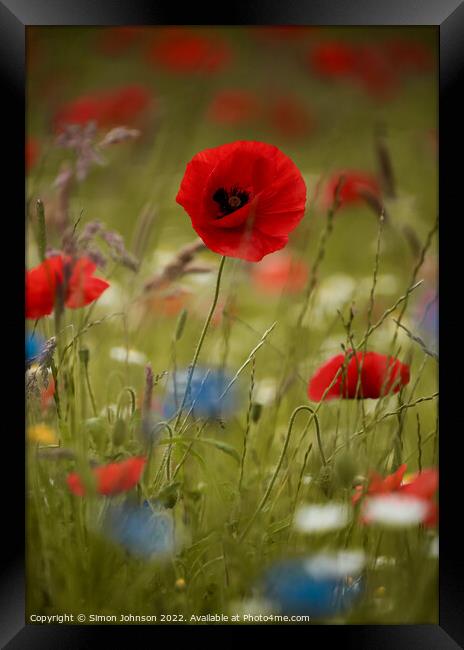 Poppy and meadow Flowers Framed Print by Simon Johnson