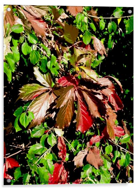 Autumn Leaves Acrylic by Stephanie Moore