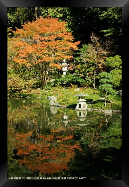 Japanese Garden in the Fall Framed Print by John Mitchell
