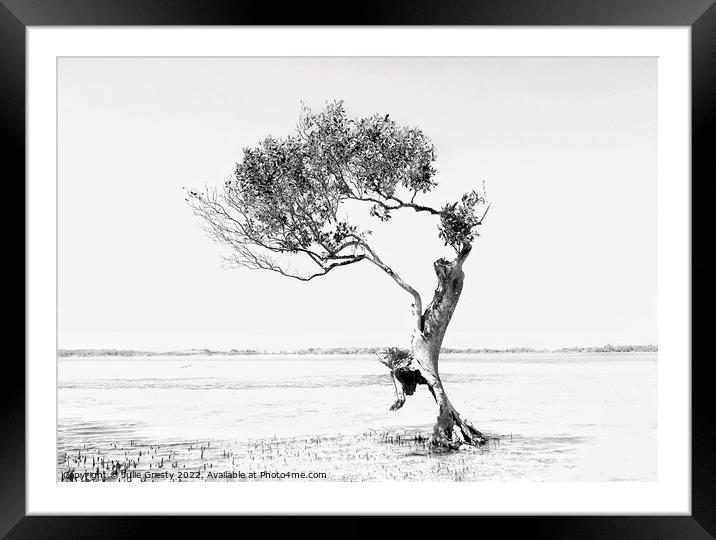 Jumping Tree  Framed Mounted Print by Julie Gresty