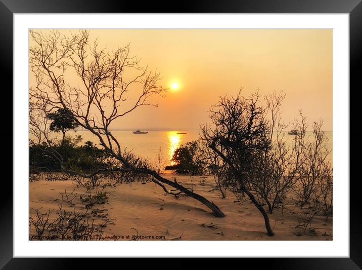 Bushes Silhouetted against a Golden Sunset Framed Mounted Print by Julie Gresty