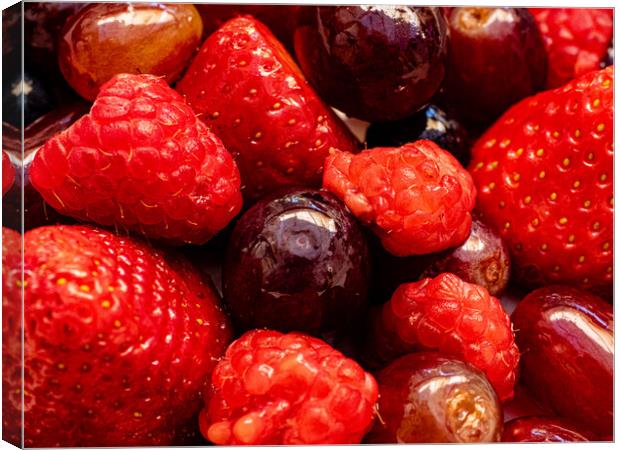 Fruits and berries Canvas Print by Gerry Walden LRPS