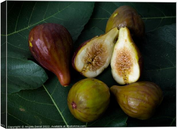 Figs on Leaves Canvas Print by Angelo DeVal