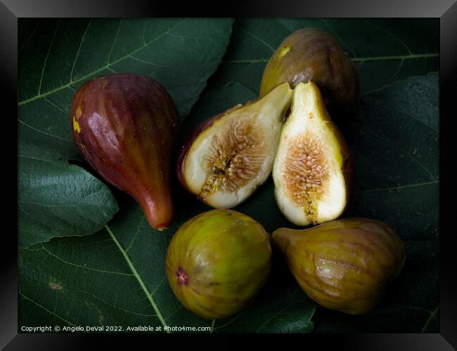Figs on Leaves Framed Print by Angelo DeVal