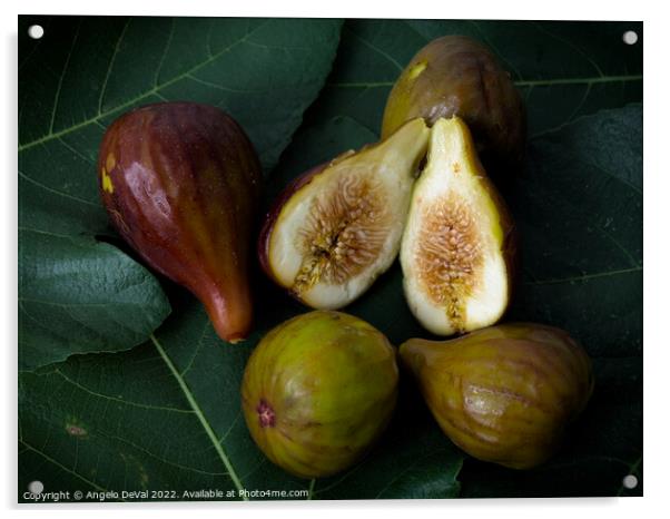 Figs on Leaves Acrylic by Angelo DeVal